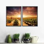 Vineyards Wall Art