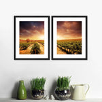 Vineyards Wall Art