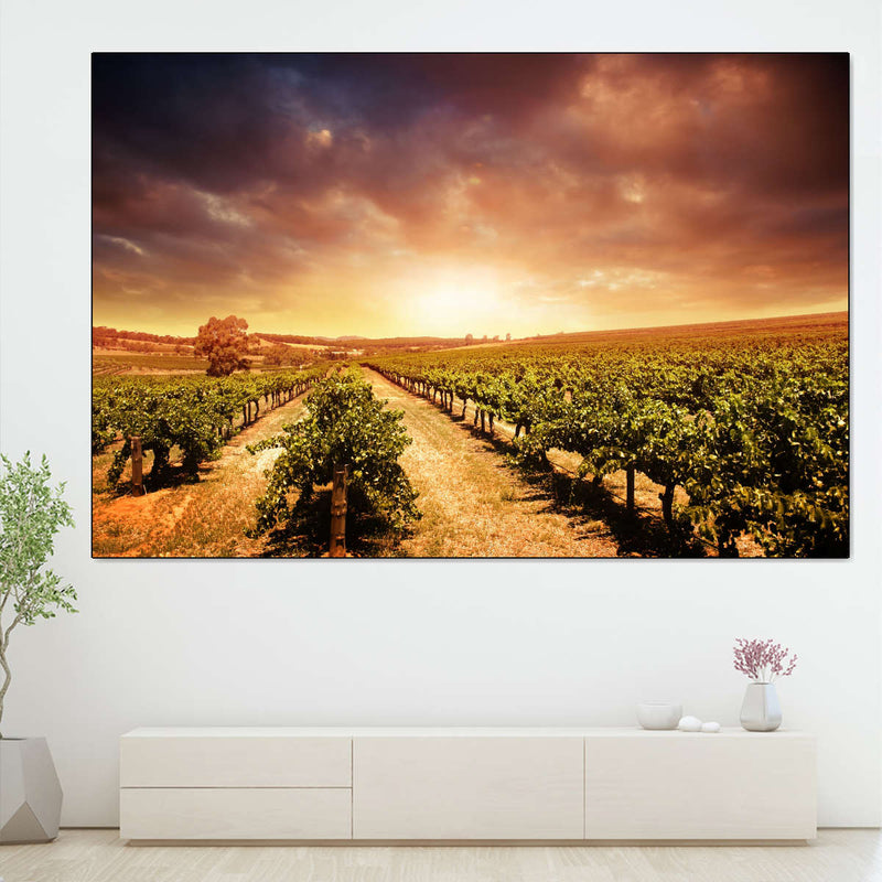 Vineyards Wall Art