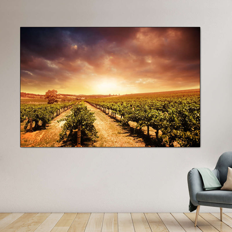 Vineyards Wall Art