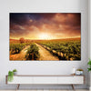 Vineyards Wall Art