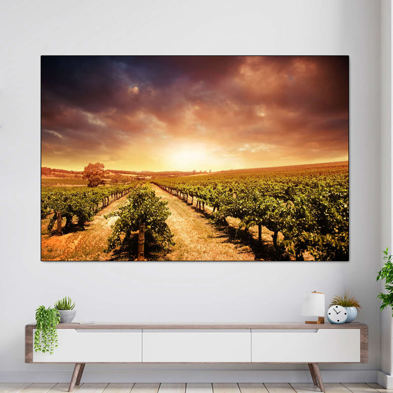 Vineyards Wall Art