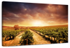 Vineyards Wall Art
