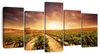Vineyards Wall Art