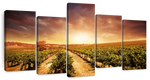 Vineyards Wall Art