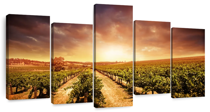 Vineyards Wall Art
