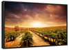 Vineyards Wall Art