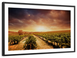 Vineyards Wall Art
