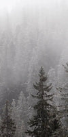 Winter Mist Wall Art