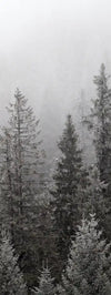 Winter Mist Wall Art