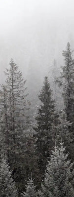 Winter Mist Wall Art