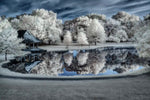 Winter Nightscape Wall Art