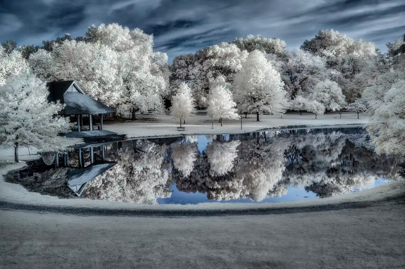 Winter Nightscape Wall Art