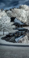 Winter Nightscape Wall Art