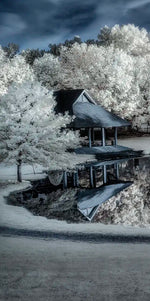 Winter Nightscape Wall Art