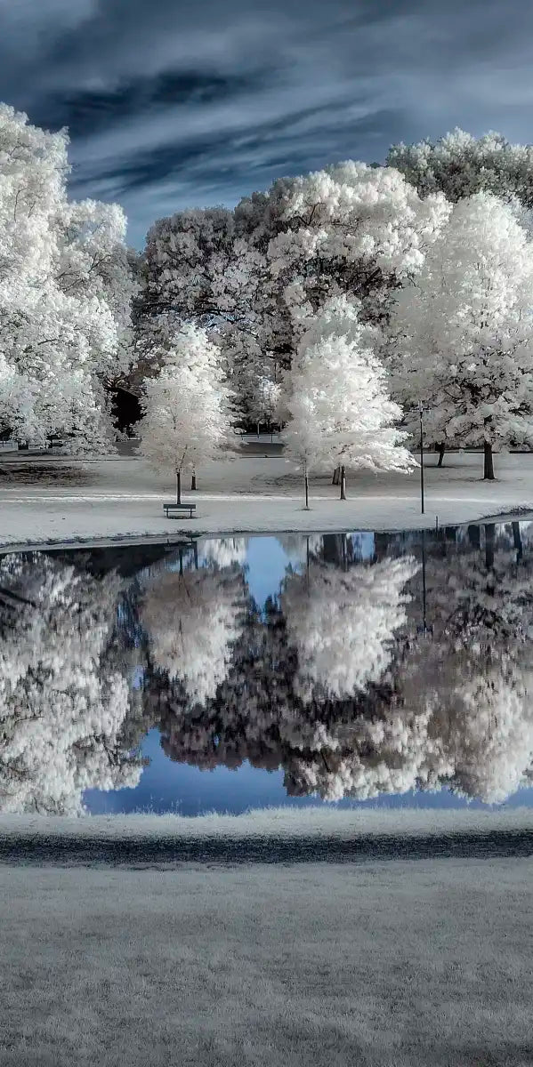 Winter Nightscape Wall Art