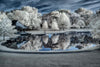 Winter Nightscape Wall Art
