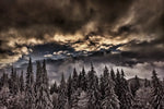 Winter Weekend Wall Art