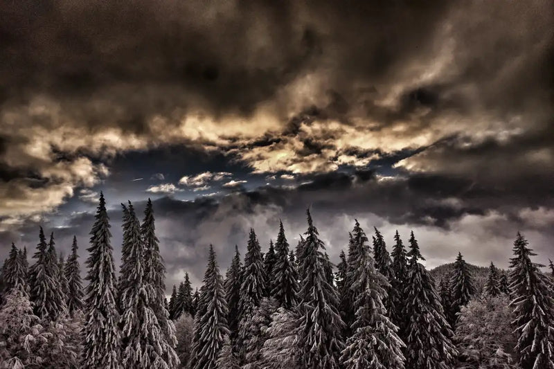 Winter Weekend Wall Art
