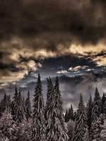 Winter Weekend Wall Art
