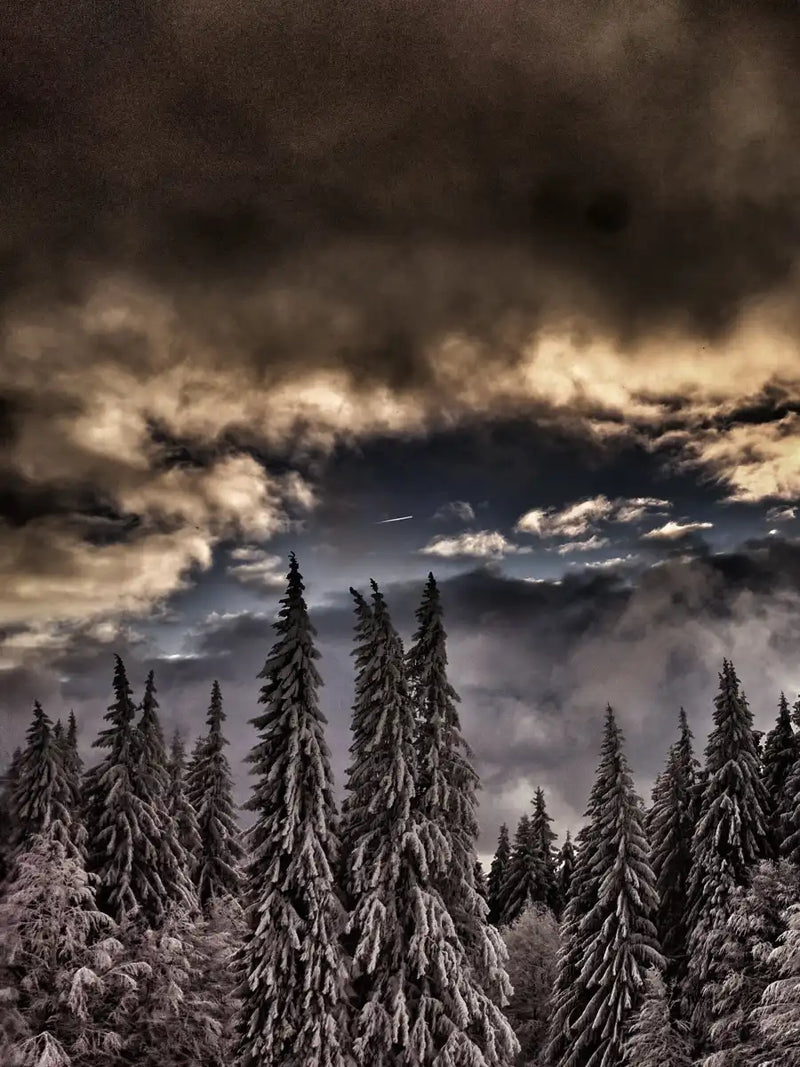 Winter Weekend Wall Art