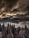 Winter Weekend Wall Art