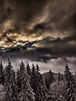 Winter Weekend Wall Art
