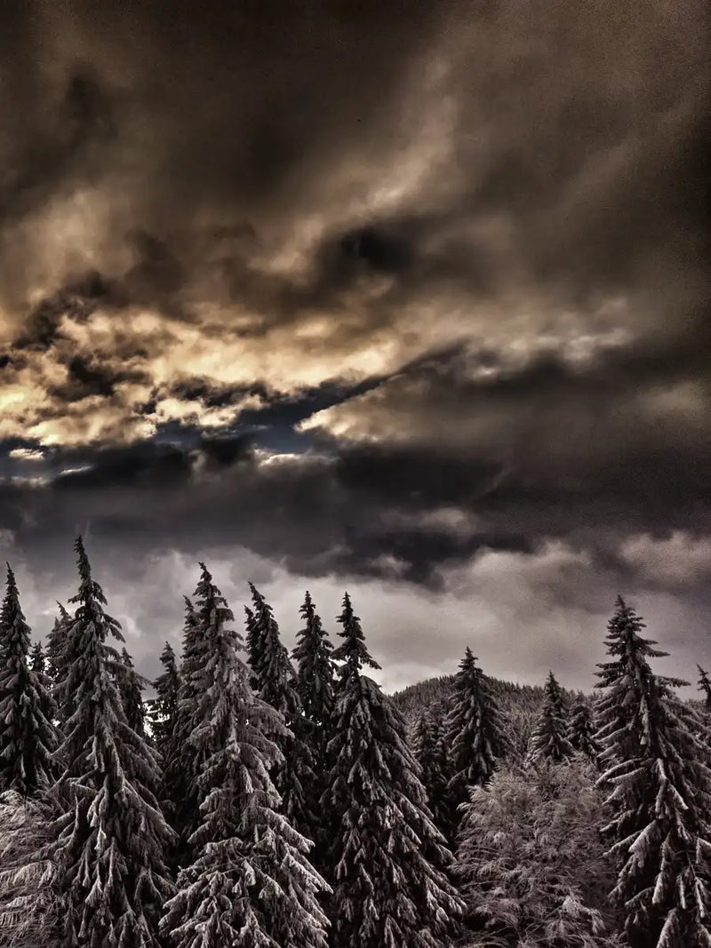 Winter Weekend Wall Art