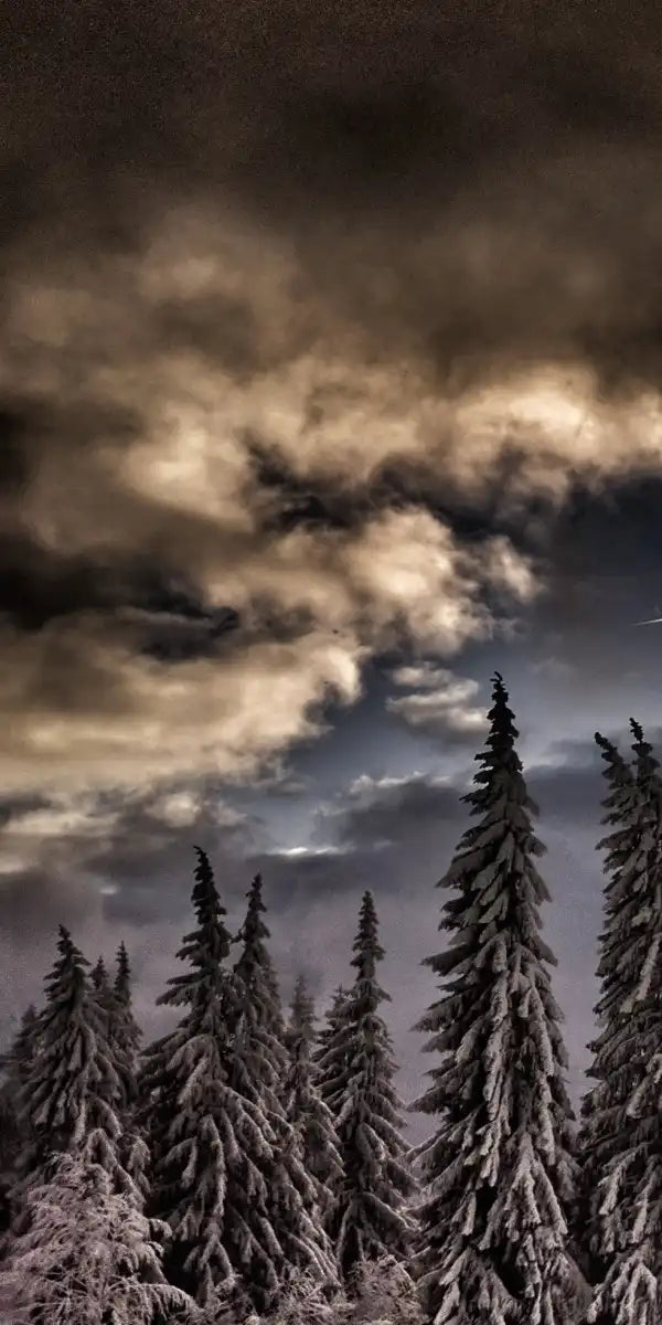 Winter Weekend Wall Art
