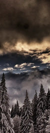 Winter Weekend Wall Art