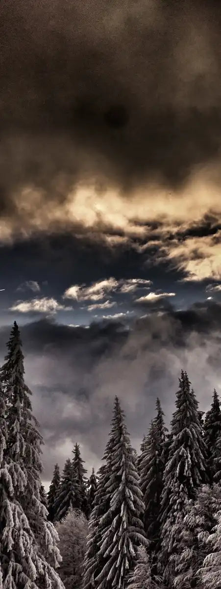 Winter Weekend Wall Art