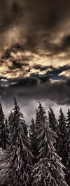 Winter Weekend Wall Art
