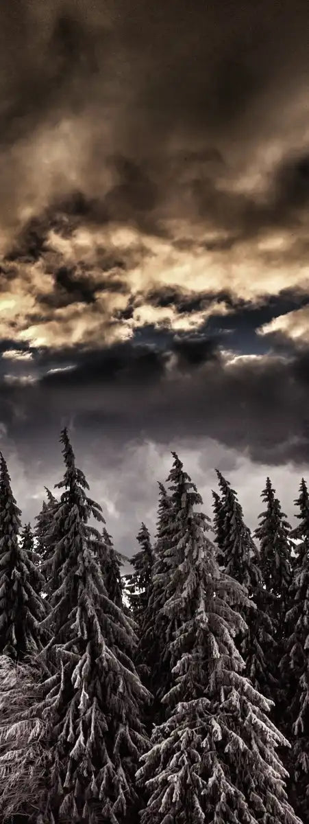 Winter Weekend Wall Art
