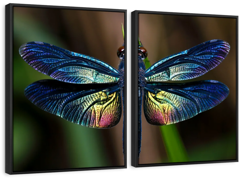 Prismatic Dragonfly Wall Art