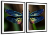 Prismatic Dragonfly Wall Art
