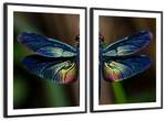 Prismatic Dragonfly Wall Art