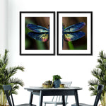 Prismatic Dragonfly Wall Art