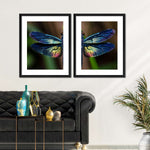 Prismatic Dragonfly Wall Art