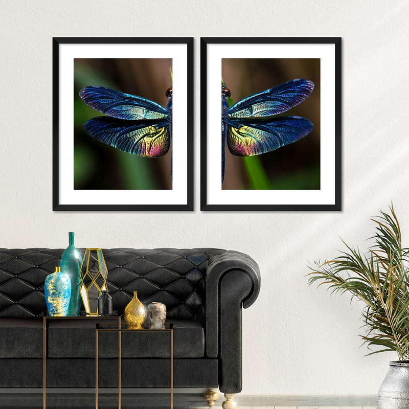 Prismatic Dragonfly Wall Art
