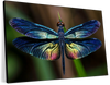 Prismatic Dragonfly Wall Art