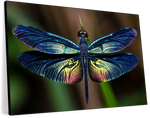 Prismatic Dragonfly Wall Art