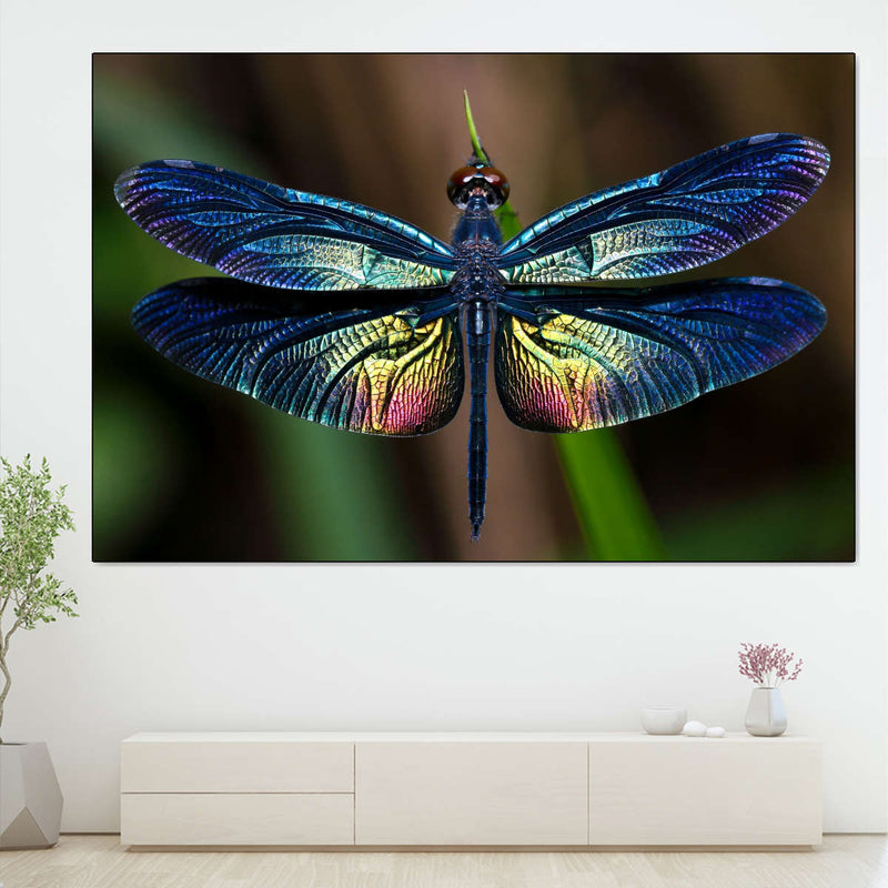 Prismatic Dragonfly Wall Art
