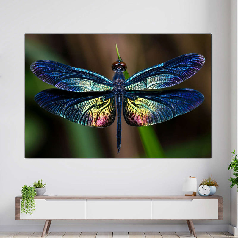 Prismatic Dragonfly Wall Art