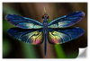 Prismatic Dragonfly Wall Art