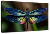 Prismatic Dragonfly Wall Art