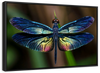 Prismatic Dragonfly Wall Art