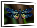 Prismatic Dragonfly Wall Art