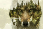 Wolf Head Silhouette Wall Art
