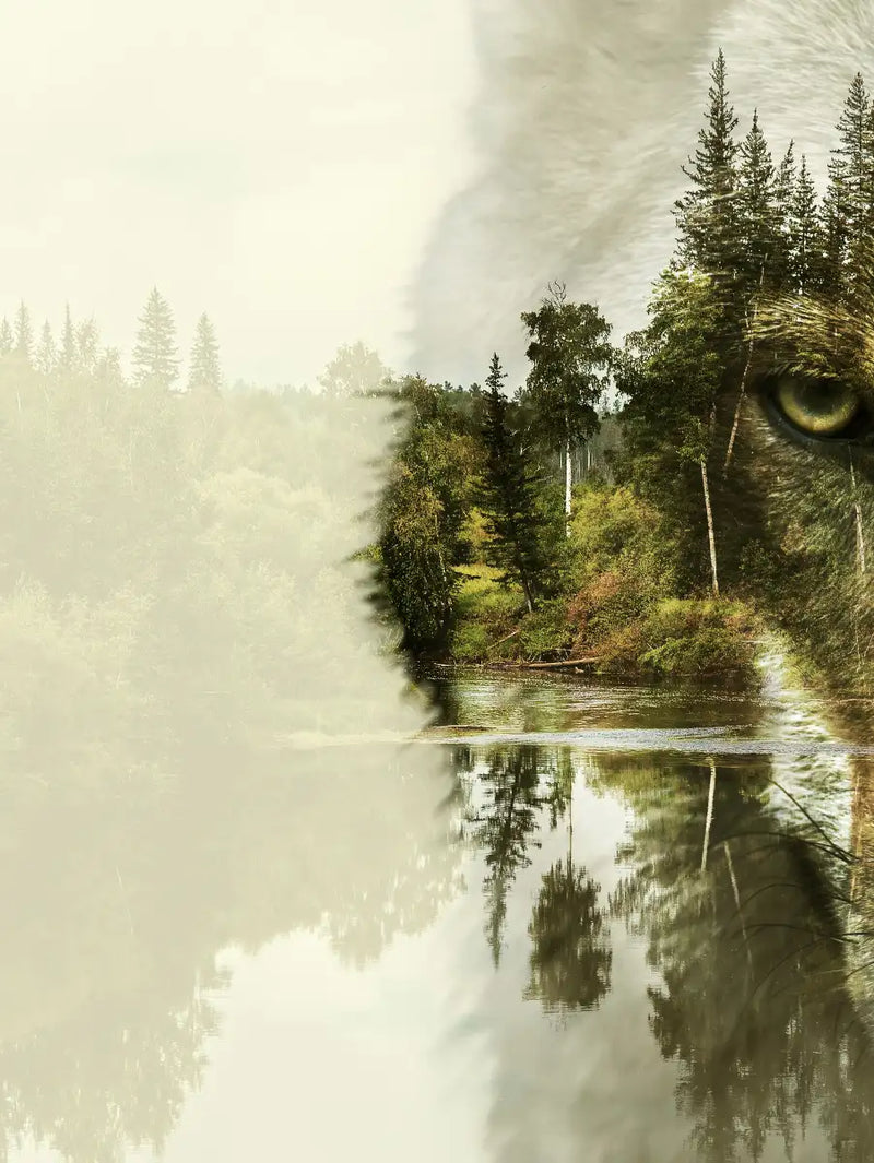 Wolf Head Silhouette Wall Art