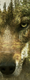 Wolf Head Silhouette Wall Art